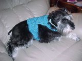 Dog Sweater Ribbed Edge Crochet Pattern